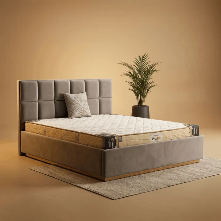 Golden Bound Upholstered Bed