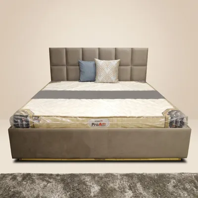 Golden Bound Upholstered Bed view 2